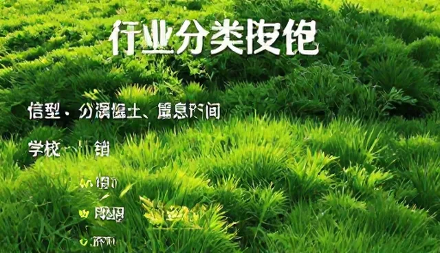行业分类信息包的适用场景及使用限制